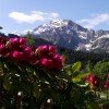Südblick mit Hohem Göll und Kehlstein