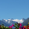 Sommer und die ganzj&auml;hrig schneebedeckten Gletscher der Stubaier Alpen