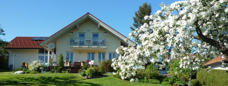 im Frühling
