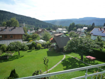 Blick über den Garten