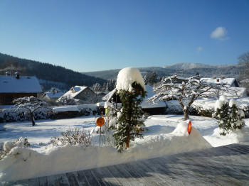 Winter im Garten