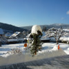Winter im Garten