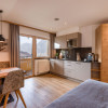 Wohnküche Studio Apartment Ahorn