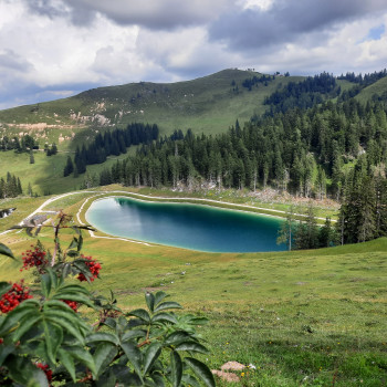 Speicherteich Riedlkar