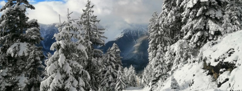 Winterlandschaft Losenheim