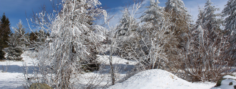 Landschaft um St.Blasien
