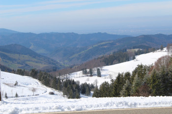 Landschaft um St.Blasien