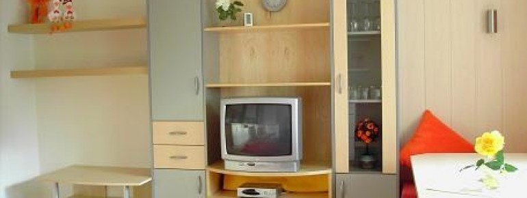 Ess- und TV-Bereich Parterre Ap.