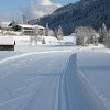 Langlaufloipe