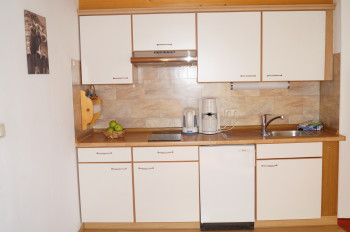 Küche Ferienwohnung Typ 4