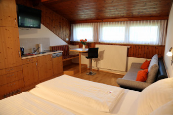 Haus Scheiblauer - App. 23