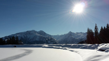 Plettsaukopf Winter