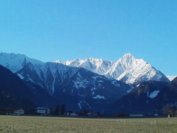 Blick vom Haus