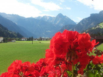 Blick vom Balkon