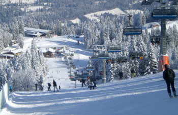 Alpinskifahren, Langlauf, Rodeln, Reiten, Eislaufen, Tennis usw. alles in unmittelbarer Nähe