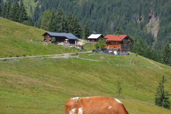 Sommer auf der Alm