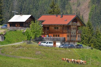 Auf der Alm