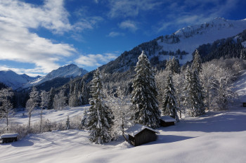 Aussicht vom Balkon