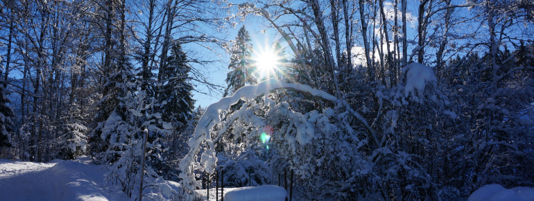 Winterwandern im Stillachtal