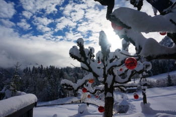 Ausblick vom Alpengasthof-Hotel Schwand
