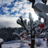 Ausblick vom Alpengasthof-Hotel Schwand