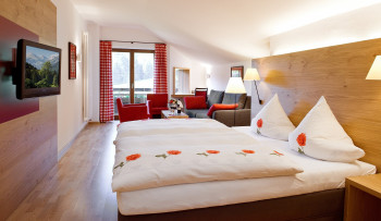 Doppelzimmer im Alpin-Stil