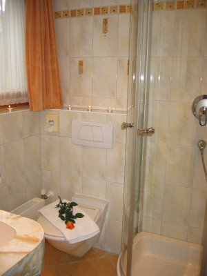 Dusche/WC - Standard Doppelzimmer