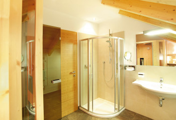 Badezimmer mit Dusche und Infrarotkabine