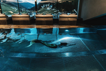 Penthousepool