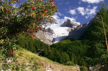 Riedgletscher