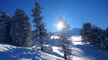 Winter Skifahren