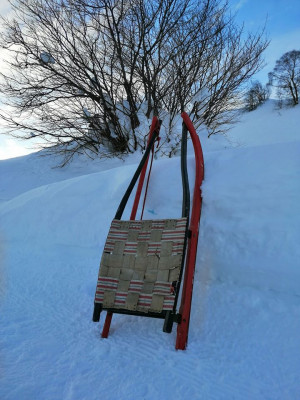 Winter Rodeln