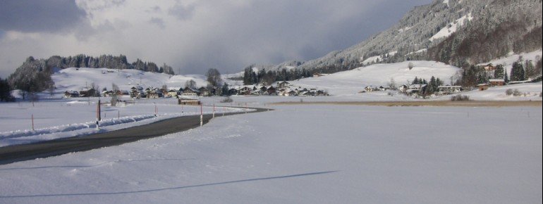 Rubi im Winter