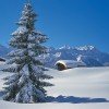 Winterpanorama