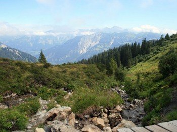 Bergsommer
