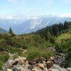 Bergsommer