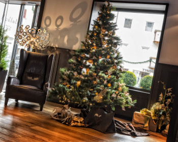 Eingang / Weihnachtsbaum