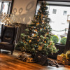 Eingang / Weihnachtsbaum
