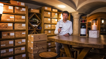 Weinkeller/Sommelier