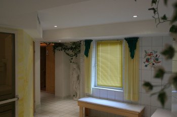 Sauna, Dampfbad, Infrarotkabine