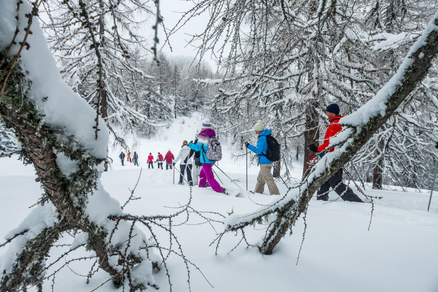 Schneeschuhwandern in Bad Kleinkirchheim