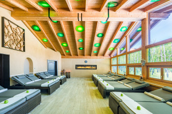 Wellness