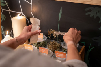 Teebar Waldwellness