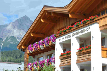 Sommer im Lohningerhof