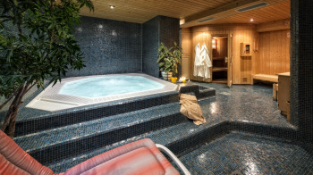 Whirlpool - Sauna Spa.