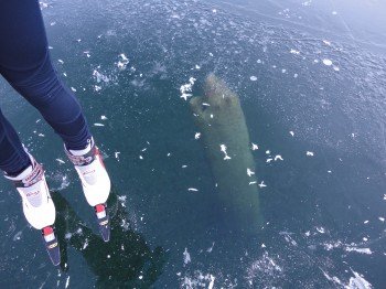 Spiegeleis am Weissensee