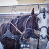 Romantischer Winterurlaub im Bayerischen Wald