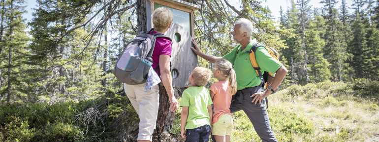 Familien-Wanderung
