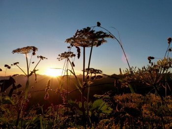Wandern im Kleinwalsertal