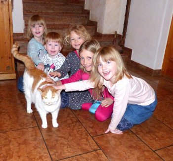 Kunibert die Schlosskatze